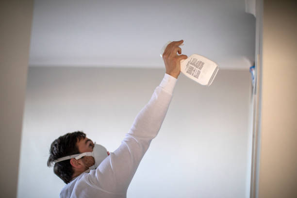 Best Mold Testing and Removal  in Brackenridge, PA
